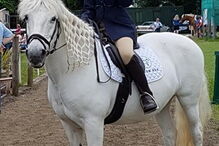 As atividades da associação