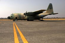 Noventa elefantes mortos no Botswana