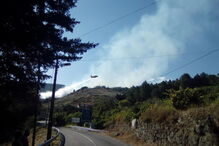 Fogo na Covilhã combatido por vários meios aéreos