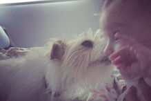 Fotografia de Alice, a filha de Daniel Oliveira e Andreia Rodrigues