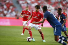 Benfica 0 - 0 Desp. Aves 