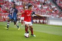 Benfica  - Desp. Aves 