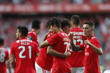 Benfica  -  Desp. Aves