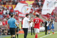 Benfica  -  Desp. Aves