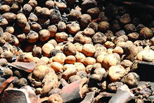 José Custódio foi um dos afetados pelo incêndio em Monchique