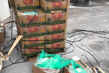 Droga encontrada em bananas