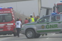 Colisão frontal no IC8 faz oito mortos em Pombal 