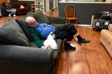 Foto de idoso a dormir ao lado de gato torna-se viral e angaria 30 mil euros