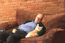 Foto de idoso a dormir ao lado de gato torna-se viral e angaria 30 mil euros