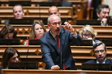 CDS-PP propõe audição pública sobre nova lei das armas