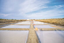 Salinas ainda são uma importante atividade  