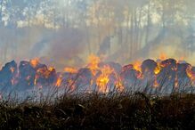 Incêndio em Rogil, Aljezur