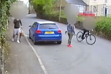 Adolescente atiçaram cão contra gato