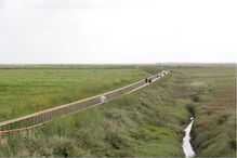 2018-09-28_17_37_43 19.jpg