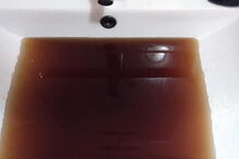 Água sai frequentemente castanha da torneira, prejudicando as rotinas dos moradores 