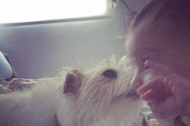 Fotografia de Alice, a filha de Daniel Oliveira e Andreia Rodrigues