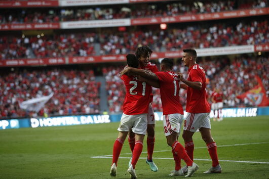 Benfica  -  Desp. Aves