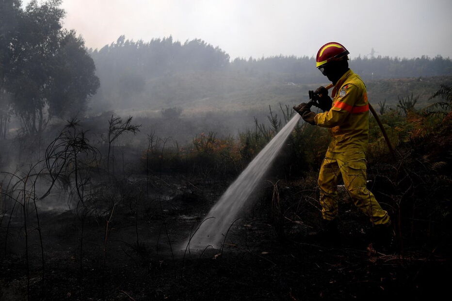 2018-09-01_15_27_03 M2-16787598.JPG