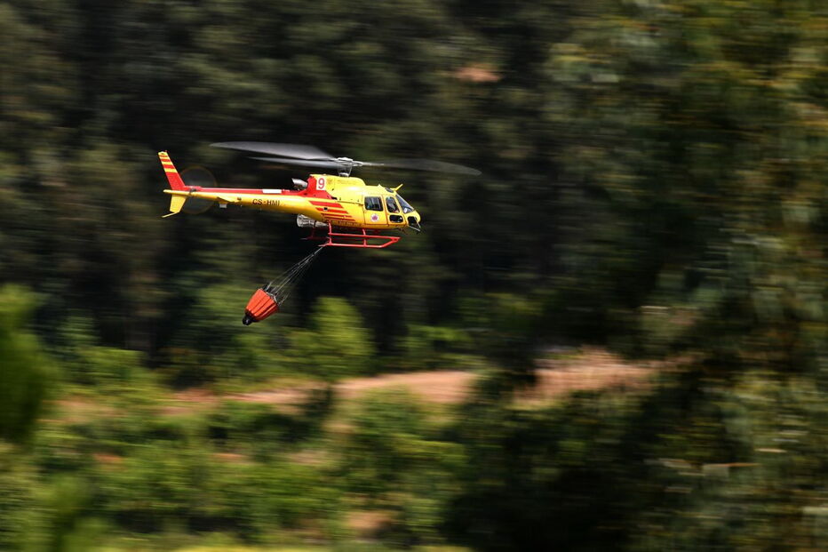 2018-09-01_15_27_05 M2-16787645.JPG