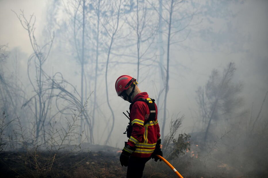 2018-09-01_15_27_05 M2-16787657.JPG