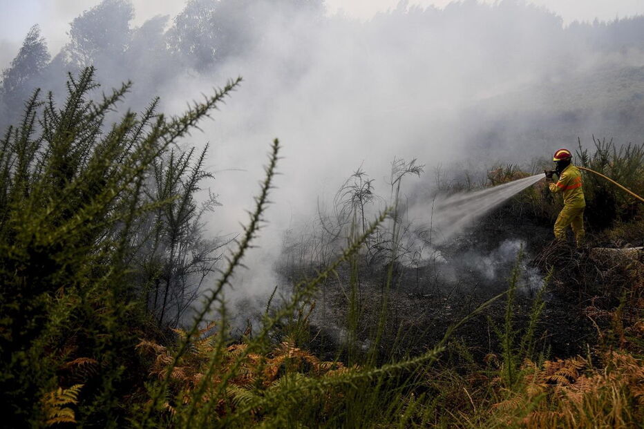 2018-09-01_15_27_07 M2-16787747.JPG