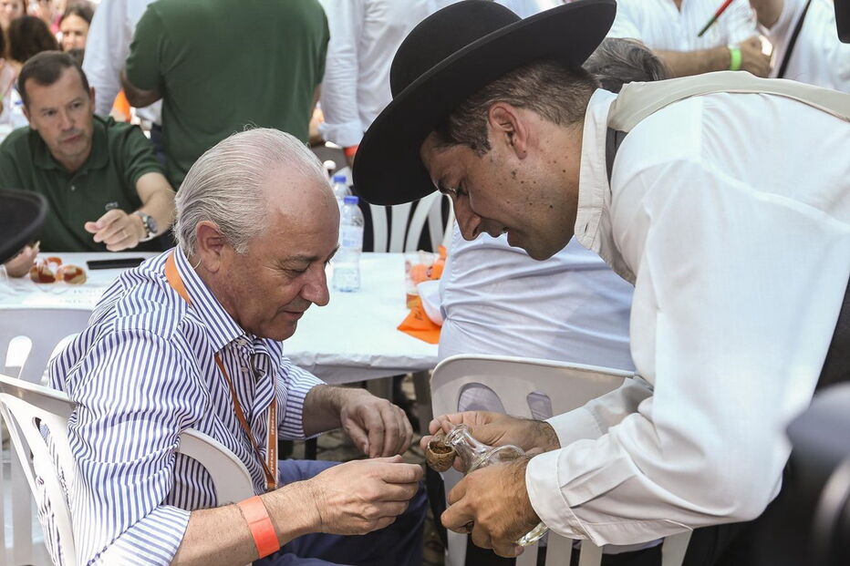 Rui Rio presidente do PSD