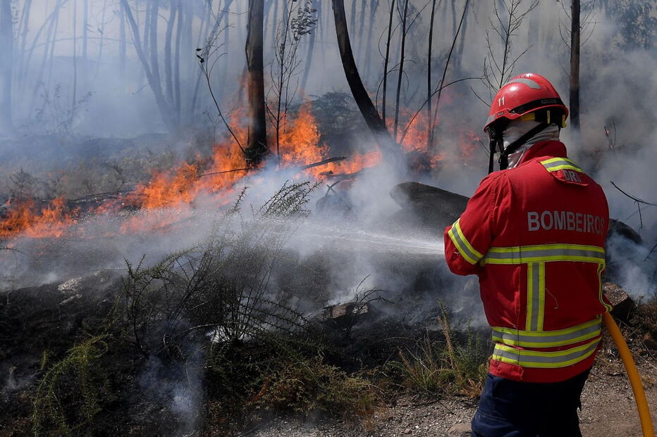 Incêndio em Póvoa de Lanhoso