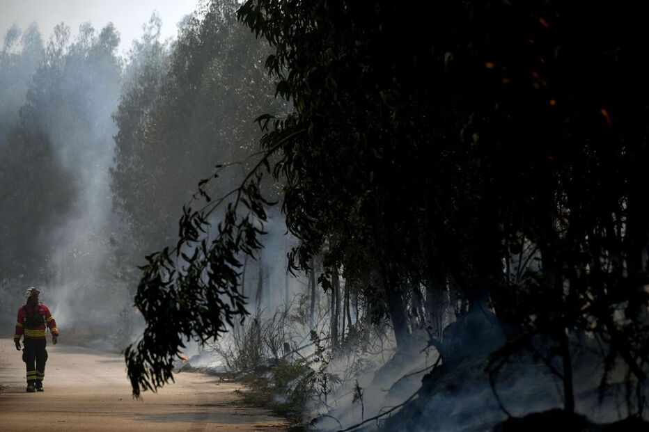 Incêndio em Póvoa de Lanhoso