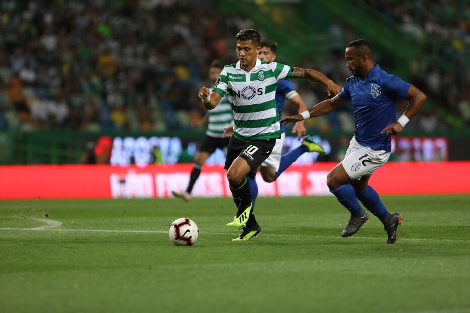 As melhores imagens do jogo entre Sporting e Feirense