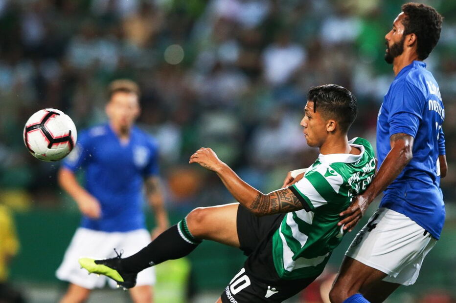 As melhores imagens do jogo entre Sporting e Feirense