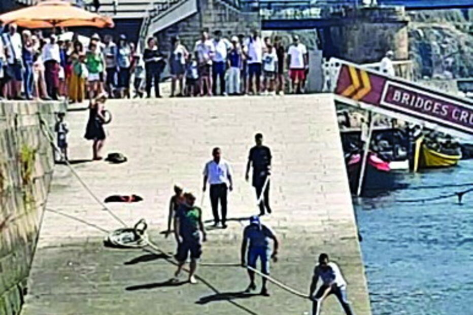 Casal e cão resgatados do Douro por populares no Porto