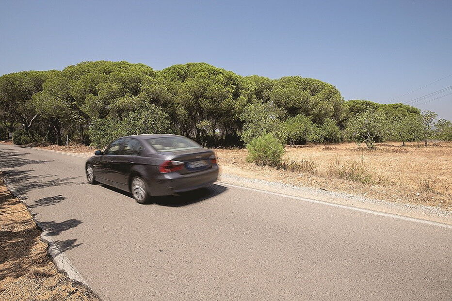 Pedidos mais exames a corpo de mulher encontrada morta em carro