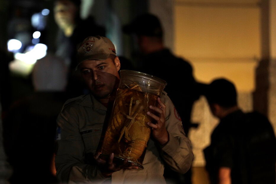 Incêndio destruiu Museu Nacional no Rio de Janeiro