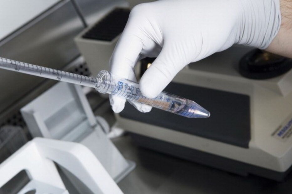 Processo de fertilização in vitro