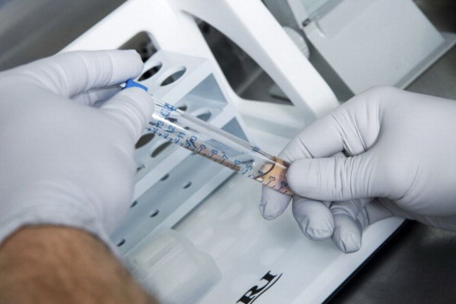 Processo de fertilização in vitro