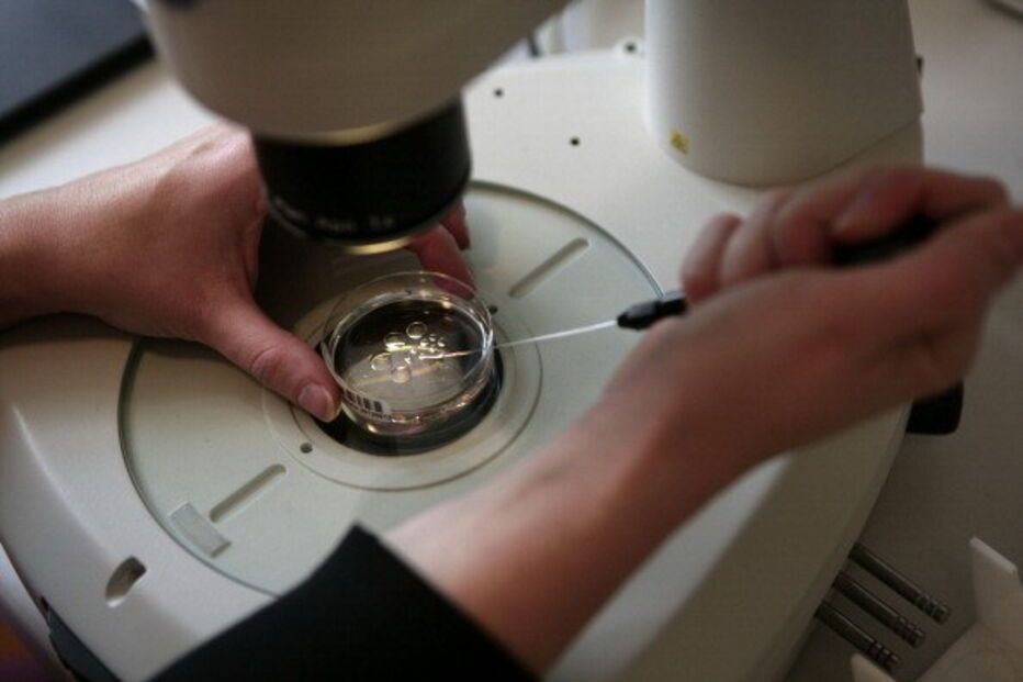 Processo de fertilização in vitro
