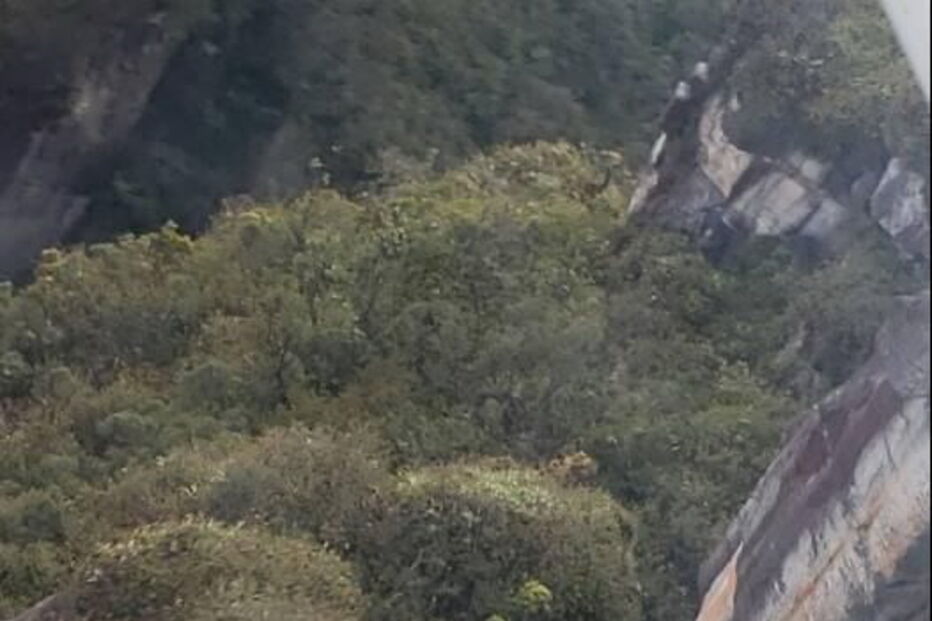 2018-09-03_20_09_47 DmLL-f1W4AEi8GI.jpg