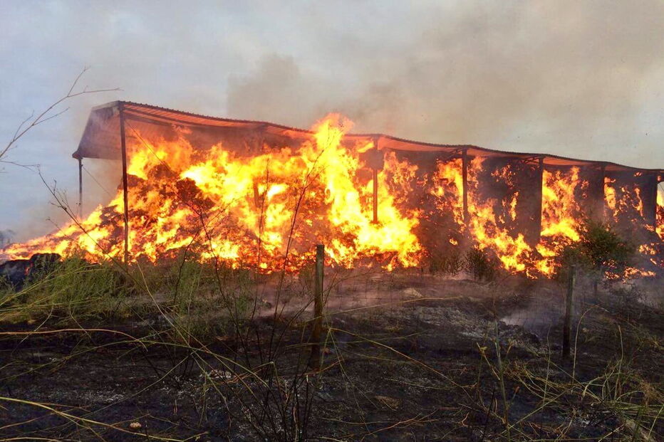 Telheiro com palha arde no Alandroal e provoca 50 mil euros de prejuízo