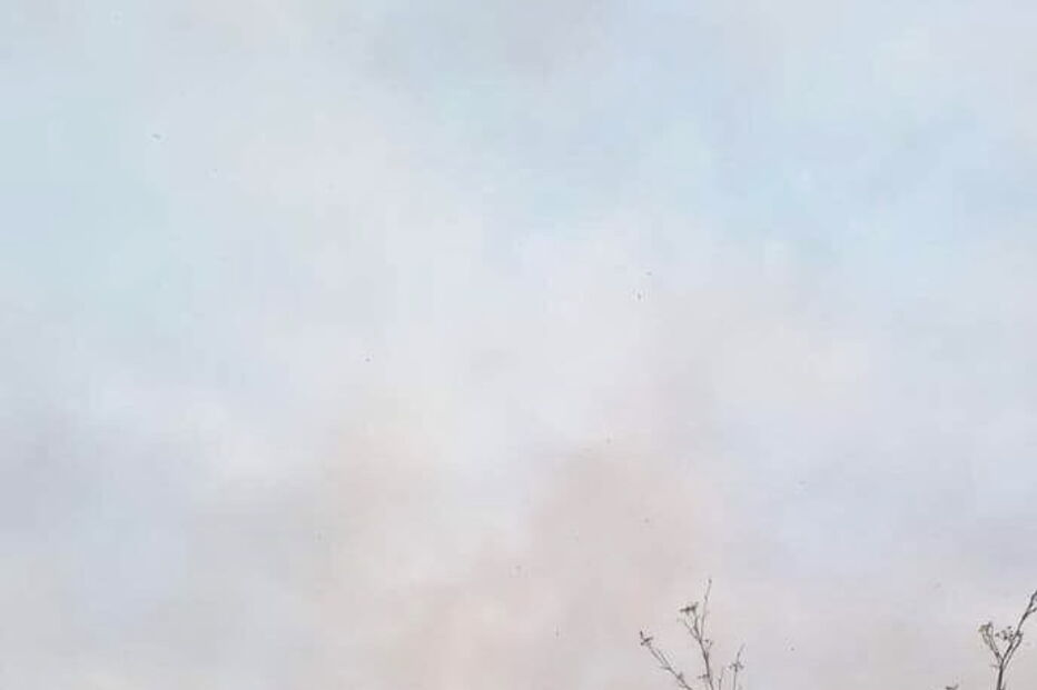 Telheiro com palha arde no Alandroal e provoca 50 mil euros de prejuízo