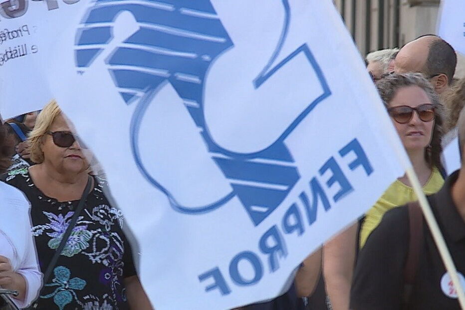 Fenprof, Professores, greve