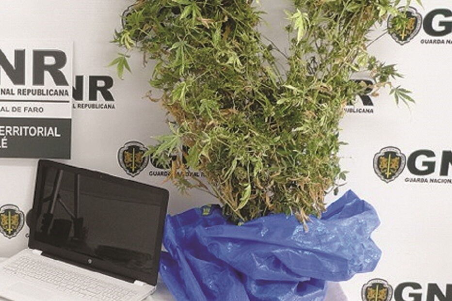 Artigos furtados apreendidos 