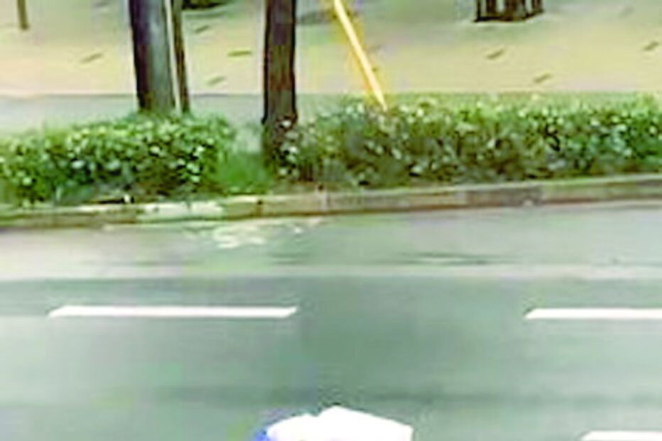 Tenta entregar pizas no meio de um tufão