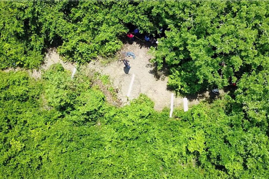 Vala de túmulos clandestina encontrada com 166 crânios no México