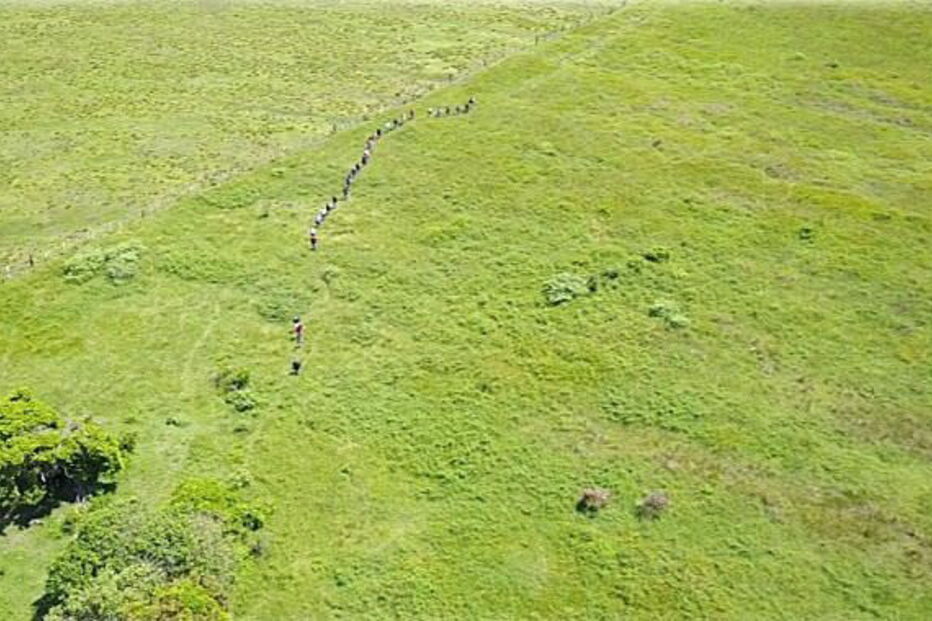 Vala de túmulos clandestina encontrada com 166 crânios no México