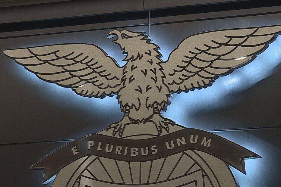 e-toupeira, Paulo Gonçalves, SAD