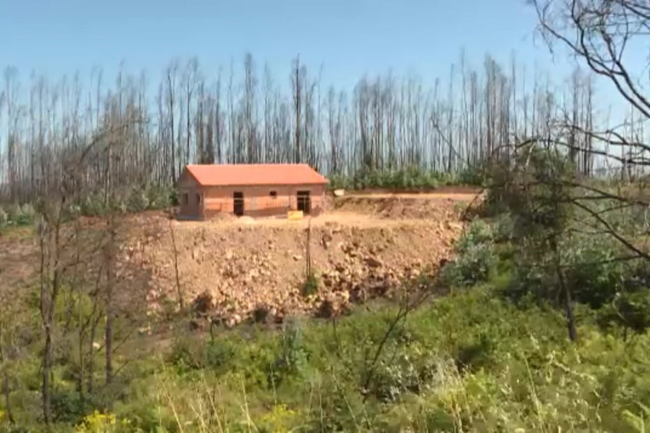 Mais obras sob suspeita na zona dos fogos de Pedrógão Grande