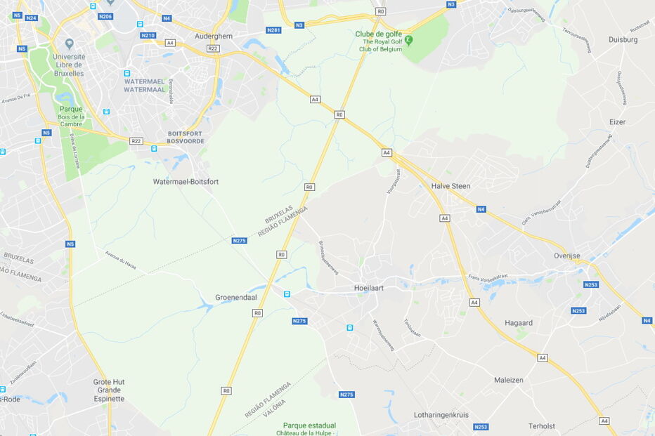 Forêt de Soignes, na Bélgica