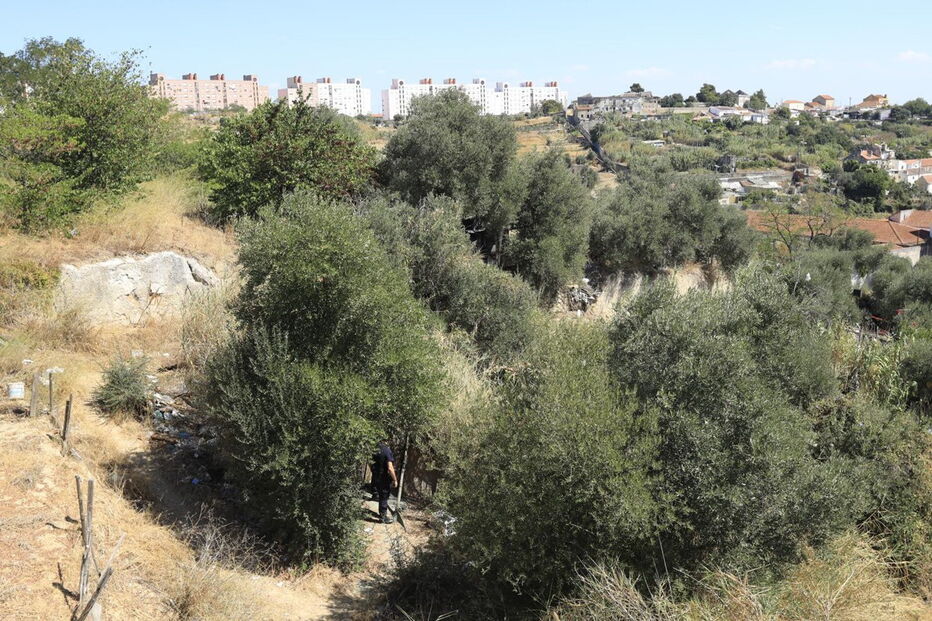 Encontrado corpo de mulher em rua de Lisboa