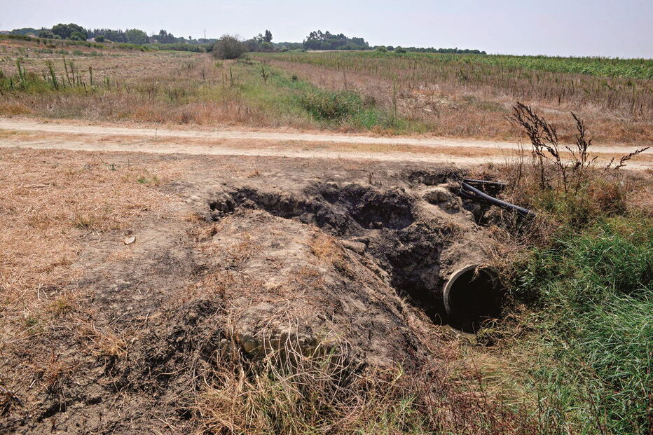 Corpo de Amélia Fialho foi encontrado incendiado num terreno em Pegões