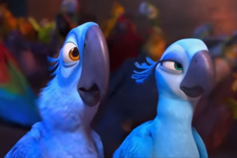 Ararinha-azul no filme 